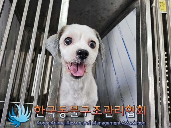 한국동물구조관리협회_441382202400747